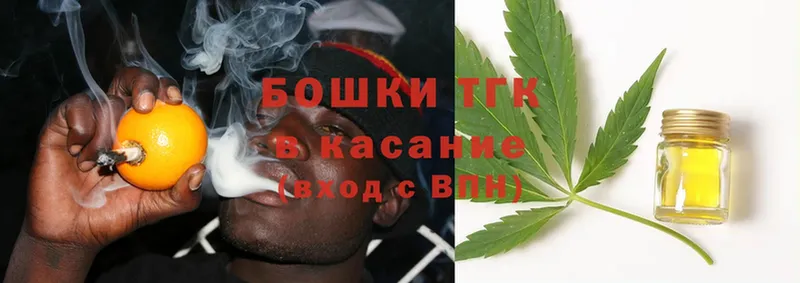 Конопля SATIVA & INDICA  Новосиль 